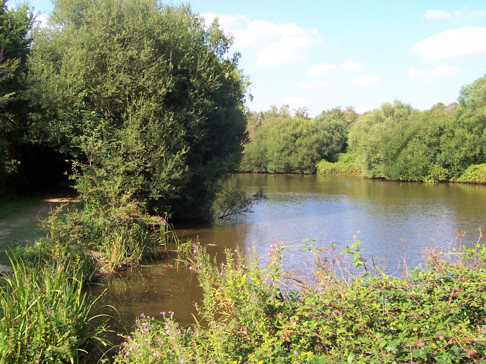 Etang de Kermouzouet